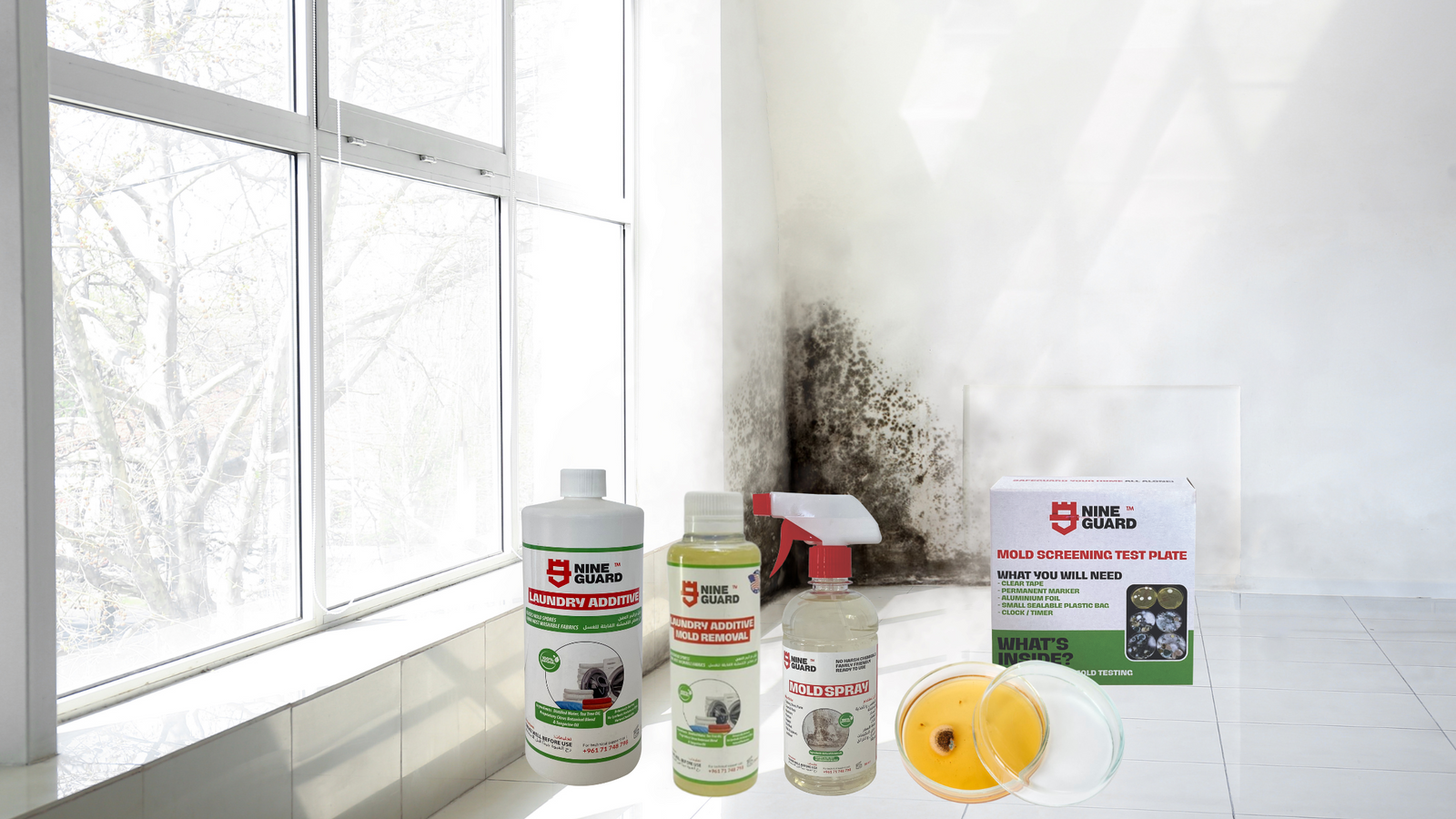 The Invisible Invader: Why Preventing Mold is Crucial for Your Home &amp; Health