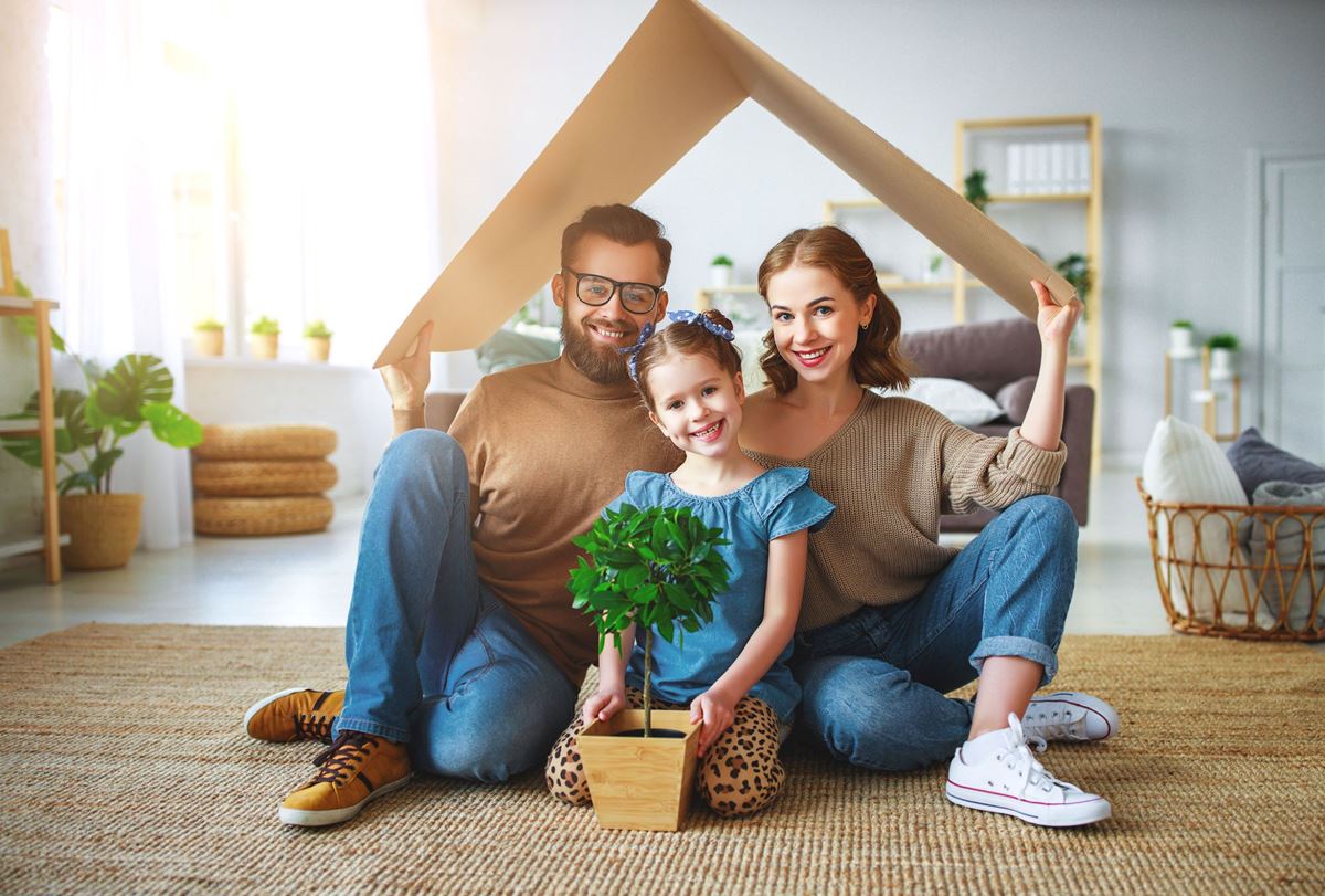 Embracing Organic Pest Control: A Natural Approach to a Pest-Free Home - Nineguard