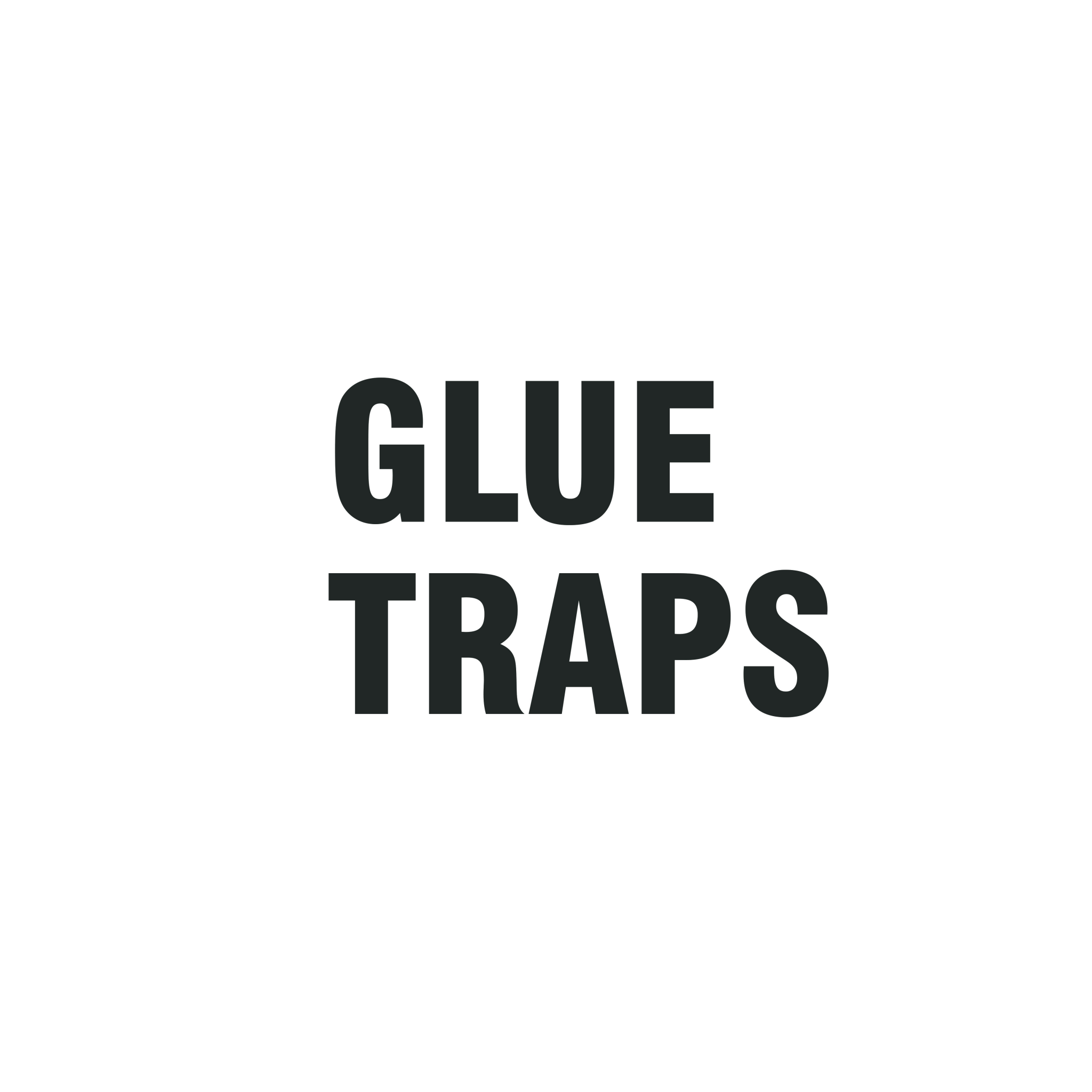 Glue Traps - Nineguard
