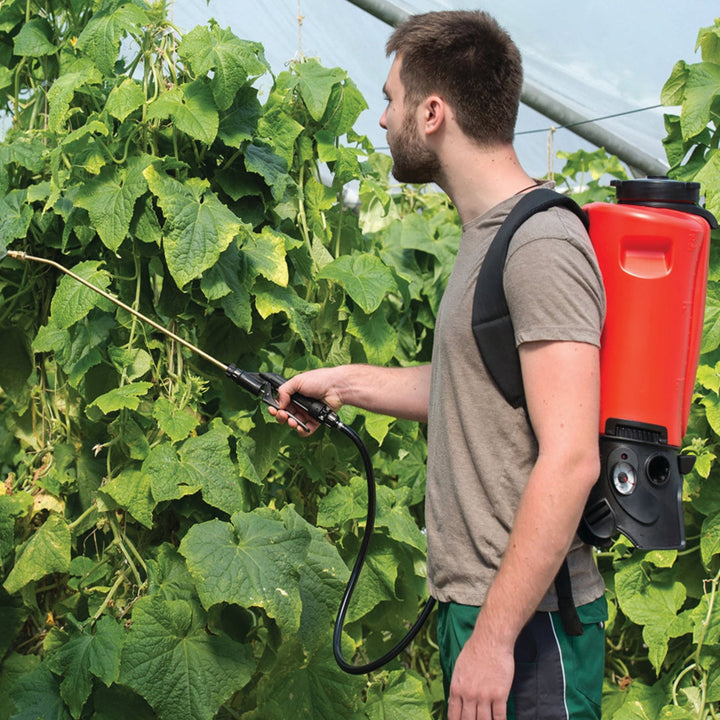 Battery-powered professional garden sprayer Lebanon