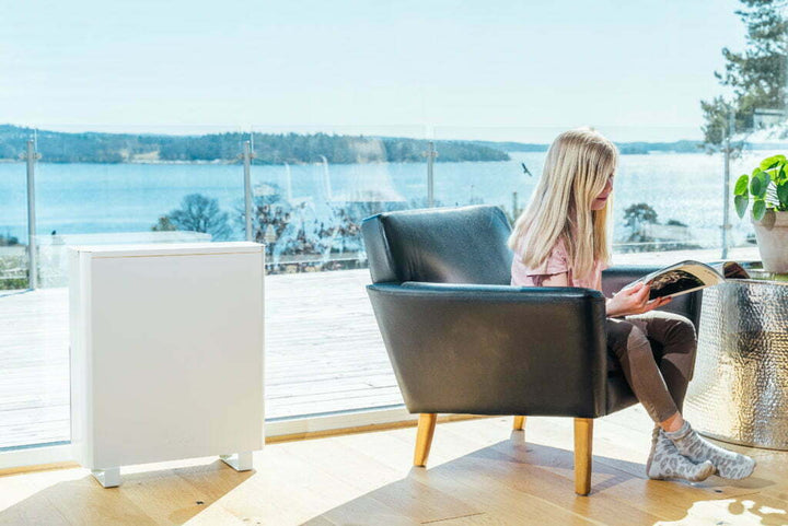 Compact energy-efficient air purifier for homes Lebanon