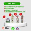 Complete mold removal kit for humid homes in Lebanon – detect, remove and prevent mold