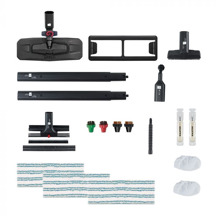 Professional dry steam cleaning system for disinfection and mold removal