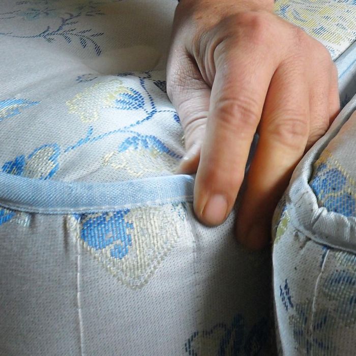 Professional steam cleaner for pest control and sanitization Lebanon