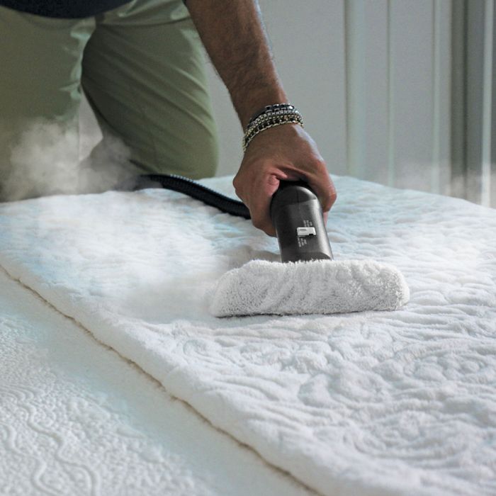 Steam cleaner for mold remediation and odor removal in Beirut