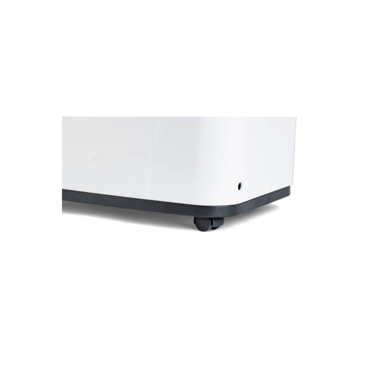 Woods Dehumidifier MDX20P for mold prevention in living spaces